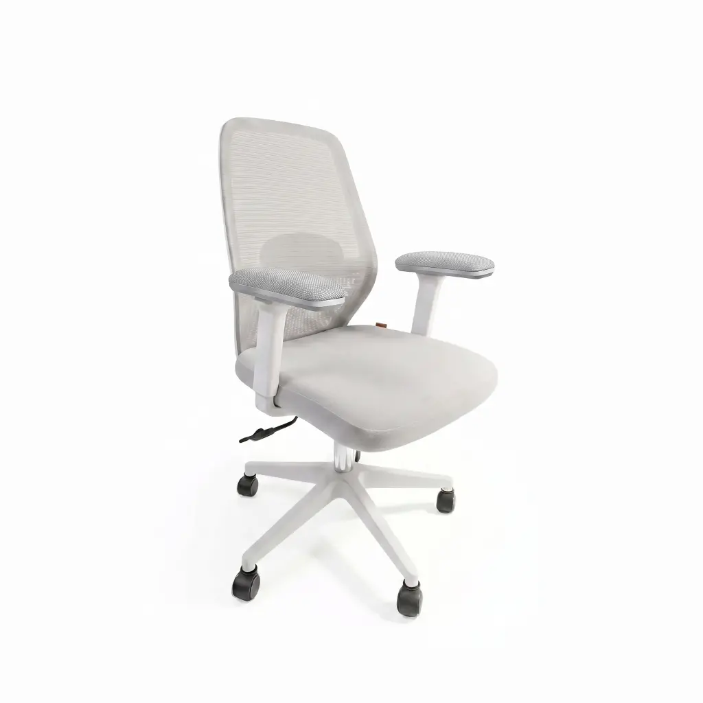 Motion FD-11-V1