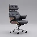 Lounge Chair